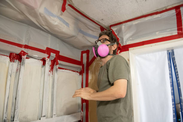 Best Mold-Related Health Consultation  in Post, TX