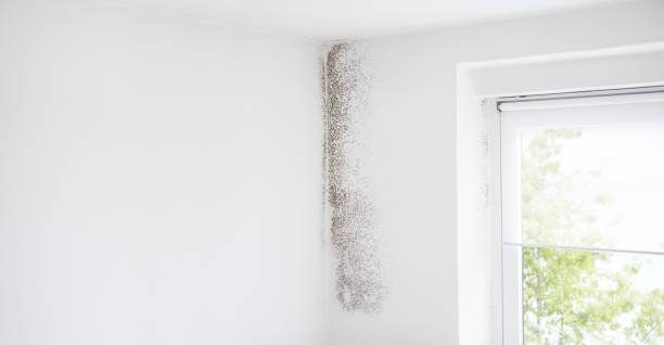Best Indoor Air Quality Assessment  in Post, TX