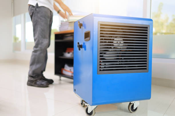 Best Airborne Mold Testing  in Post, TX