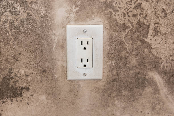 Best Emergency Mold Remediation  in Post, TX