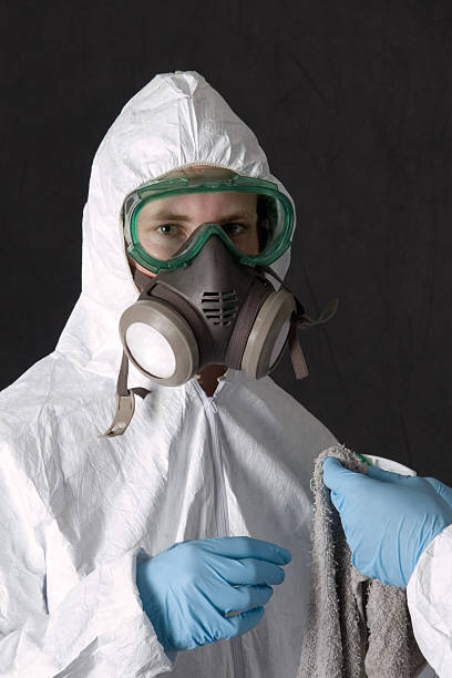 Best Attic Mold Removal  in Post, TX
